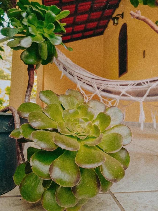Casa Com Flores Pedra Azul  Exteriér fotografie